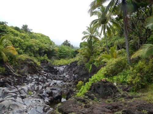 Lush tropical landscape with rocky terrain, palm trees, and dense greenery under a cloudy sky.