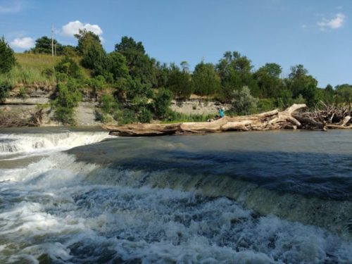 A river flows over a rocky ledge, with a person standing on a log near the water's edge and greenery in the background.
