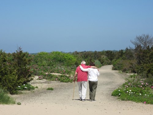 An elderly couple walks together on a sandy path, surrounded by greenery and flowers, enjoying a sunny day.