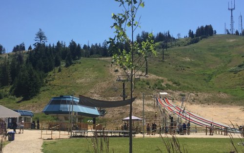 A sunny hillside with a ski lift, colorful slides, and people enjoying the outdoor space. Trees and a blue sky in the background.