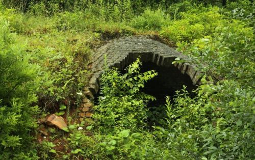 Overgrown stone archway surrounded by lush green vegetation and plants.