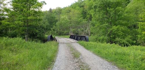 A gravel path leads to a black bridge surrounded by lush green trees and foliage.