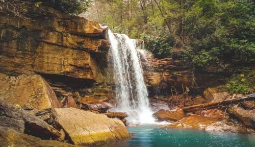 A serene waterfall cascades over rocky cliffs into a tranquil pool, surrounded by lush greenery.