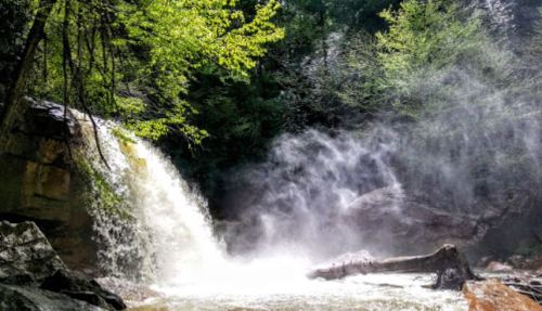 A serene waterfall cascades over rocks, surrounded by lush green trees and mist rising from the water.
