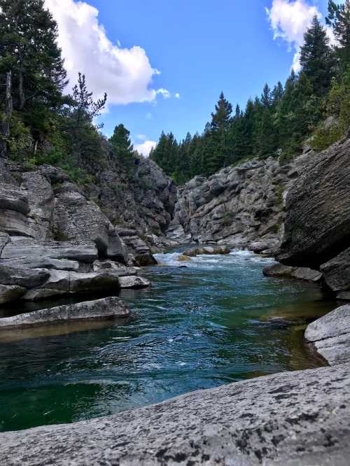 A serene river flows through rocky cliffs, surrounded by lush green trees under a blue sky with fluffy clouds.