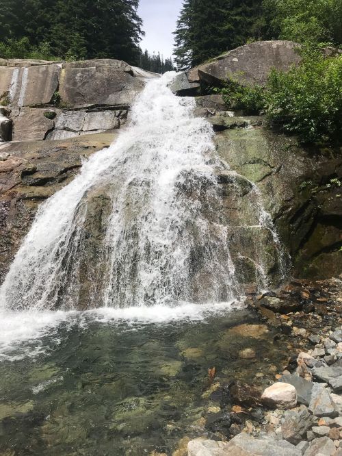 A cascading waterfall flows over rocky terrain, surrounded by lush green trees and a clear pool at the base.
