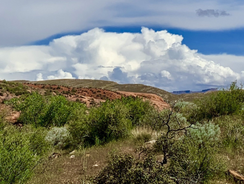 A scenic landscape featuring green shrubs, rocky hills, and dramatic clouds in a blue sky.