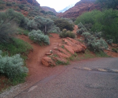 A winding dirt path leads through green shrubs and red rock formations, with a gravel road nearby.