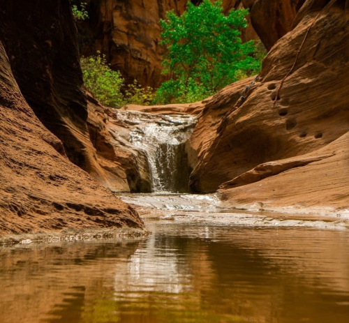 A serene waterfall cascades into a calm pool, surrounded by smooth, reddish rock formations and lush green foliage.