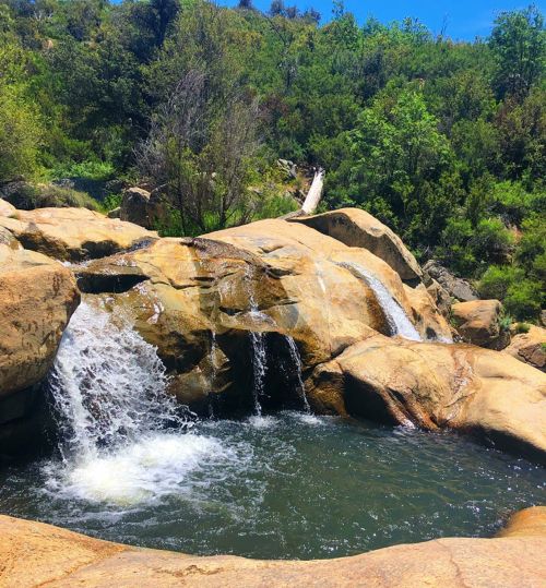 A serene natural scene featuring a small waterfall cascading over rocks into a clear pool, surrounded by lush greenery.