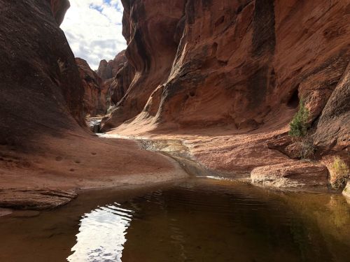 A serene canyon with red rock formations and a calm water pool reflecting the sky.