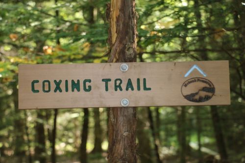 Wooden sign reading "Coxing Trail" in a forested area, with a logo and an arrow pointing upward.