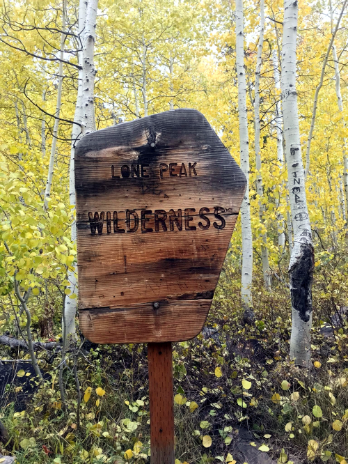 Wooden sign reading "Lone Peak Wilderness" surrounded by yellow-leaved trees in a forest.