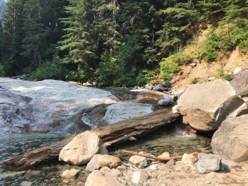 A serene river scene with a wooden log bridge over clear water, surrounded by lush green trees and rocky terrain.