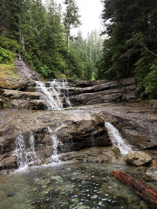 A serene waterfall cascades over rocky terrain, surrounded by lush green trees and a clear pool of water below.