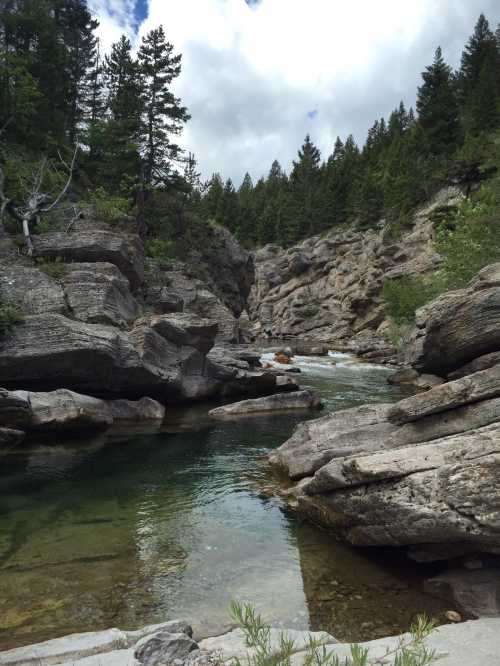 A serene river flows through rocky terrain, surrounded by lush green trees and a cloudy sky.