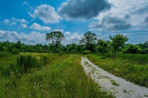 A winding gravel path through a lush green field under a blue sky with fluffy clouds. Trees dot the landscape.