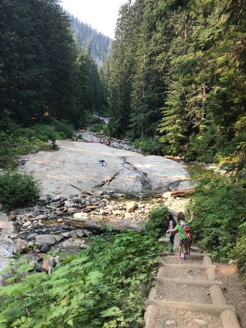 A child walks down a forested path beside a rocky river, surrounded by tall trees and lush greenery.