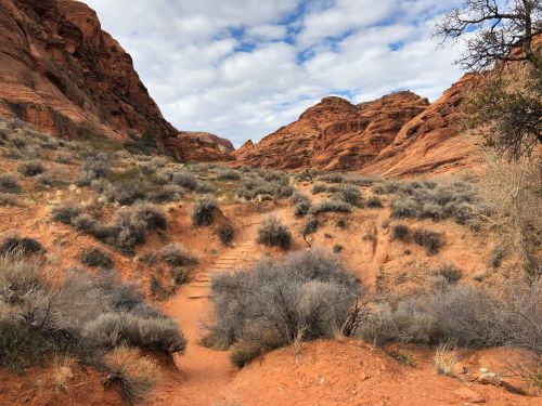 A winding dirt path leads through red rock formations and sparse vegetation under a cloudy sky.