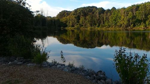 A serene lake surrounded by lush greenery, reflecting trees and a clear sky. Pebbled shore in the foreground.
