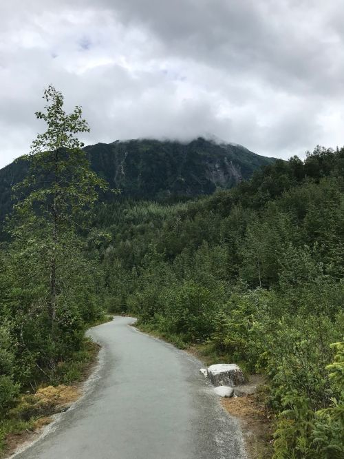 A winding path through lush greenery leads to a mountain shrouded in clouds under a gray sky.