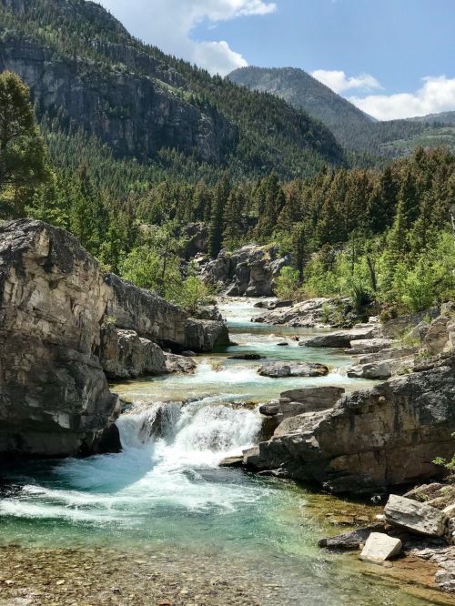 A serene river flows through rocky terrain, surrounded by lush green trees and mountains under a clear blue sky.