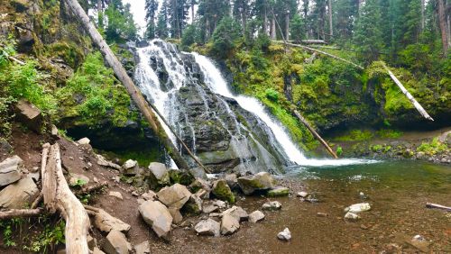 A serene waterfall cascades over rocks into a clear pool, surrounded by lush greenery and tall trees.