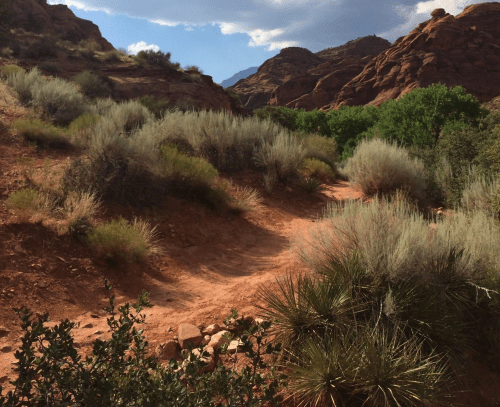 A winding dirt path through red rock formations and lush green vegetation under a partly cloudy sky.