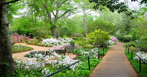Lush garden with vibrant flowers, winding paths, and a bench surrounded by greenery and blooming plants.