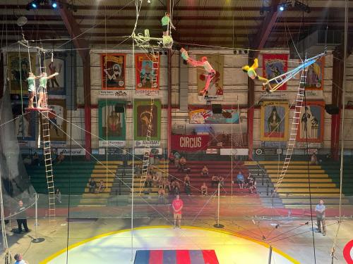 A circus performance featuring acrobats on trapezes and ladders, with colorful banners in the background and an audience below.