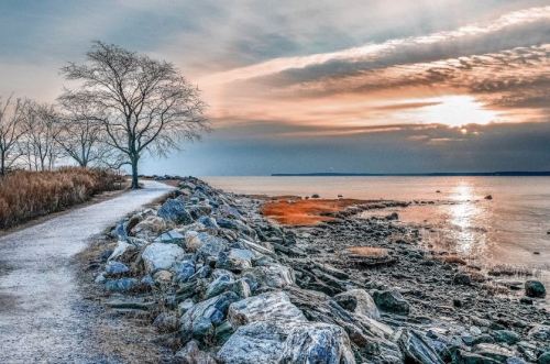 A serene shoreline at sunset, featuring a rocky path, a bare tree, and calm waters reflecting the colorful sky.