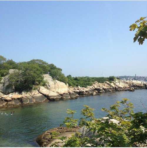 A serene coastal scene featuring rocky shores, lush greenery, and calm waters under a clear blue sky.