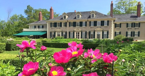A grand mansion with green shutters surrounded by vibrant pink flowers and lush greenery under a clear blue sky.
