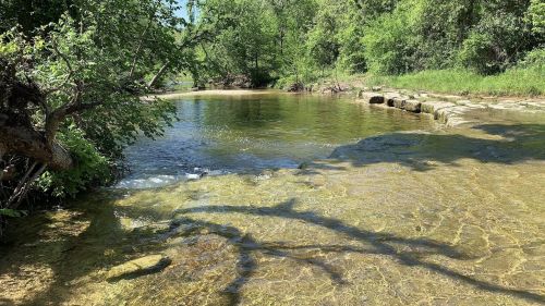 A serene river scene with clear water, lush greenery, and gentle ripples under a sunny sky.