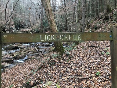 A wooden sign reading "Lick Creek" near a stream in a wooded area with fallen leaves and trees.