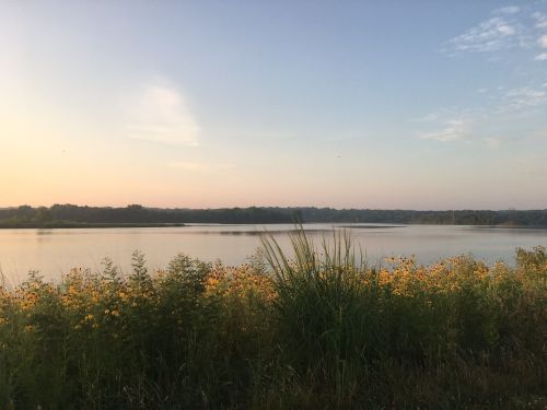 A serene lake at sunrise, surrounded by wildflowers and lush greenery under a clear sky.