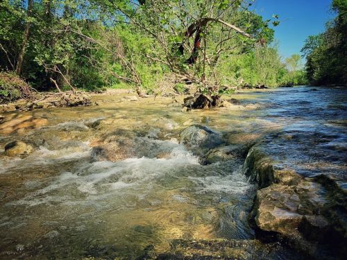 A serene river flows over rocky beds, surrounded by lush green trees and clear blue skies.
