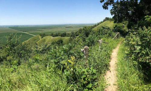 A scenic view of a grassy trail winding through lush greenery, overlooking rolling hills and fields under a clear blue sky.