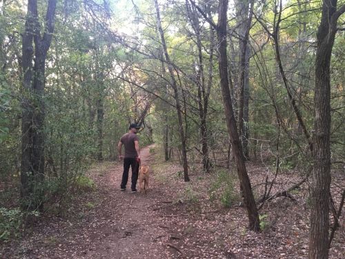 A person walks a dog along a wooded trail surrounded by trees and greenery.