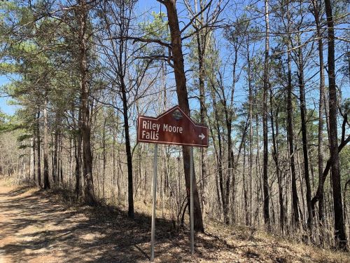 A brown sign pointing to Riley Moore Falls along a dirt path, surrounded by trees under a clear blue sky.