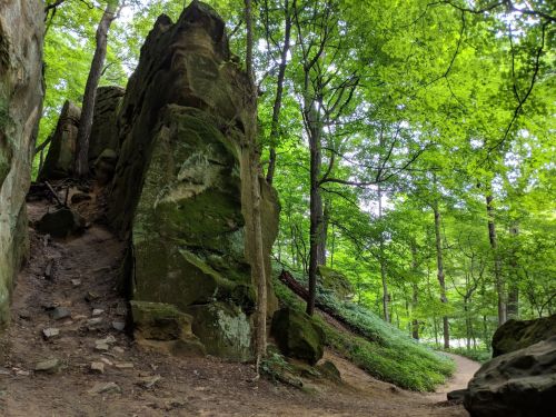 A lush green forest with large rock formations and a winding dirt path. Sunlight filters through the trees.