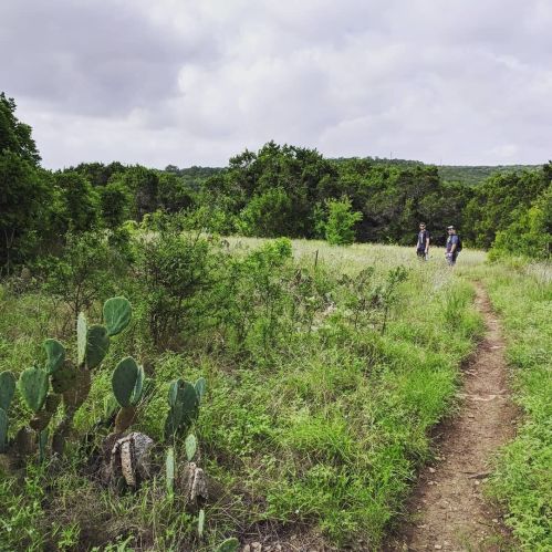 Two hikers walking along a dirt path in a green, grassy landscape with scattered trees and cacti.