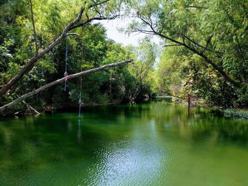A serene green river surrounded by lush trees, with a rope swing hanging from a branch over the water.