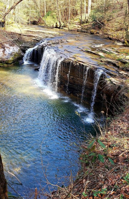 A serene waterfall cascades over rocks into a clear pool, surrounded by lush greenery and trees.