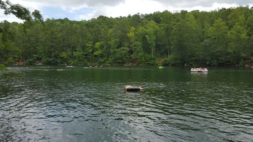 A serene lake surrounded by lush green trees, with people enjoying various activities on the water.