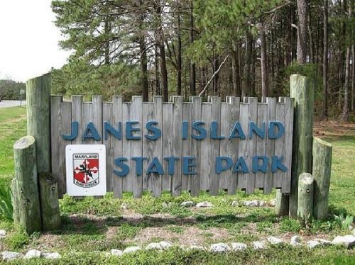 Wooden sign for Janes Island State Park, featuring blue letters and a Maryland state emblem, surrounded by greenery.