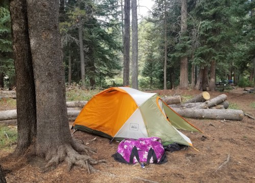 A colorful tent set up in a forest clearing, surrounded by tall trees and fallen logs. A purple bag is nearby.