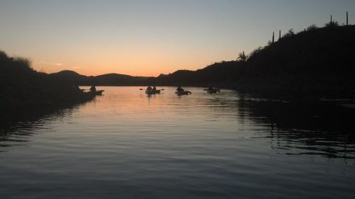 Silhouettes of kayakers on calm water at sunset, with mountains and cacti in the background.