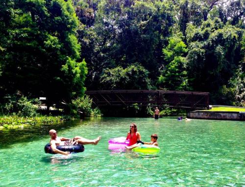 A family enjoys a sunny day floating on colorful inner tubes in a clear, green-tinted river surrounded by trees.