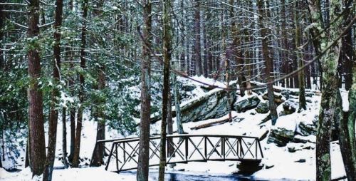 A wooden bridge spans a snowy river, surrounded by tall trees in a winter forest.
